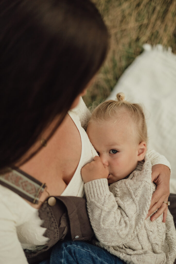 When-to-seek-help-with-breastfeeding-in-longmont-colorado-toddler-breastfeeding-with-hand-by-face-alexis-adkins-photography-in-home-newborn-photographer