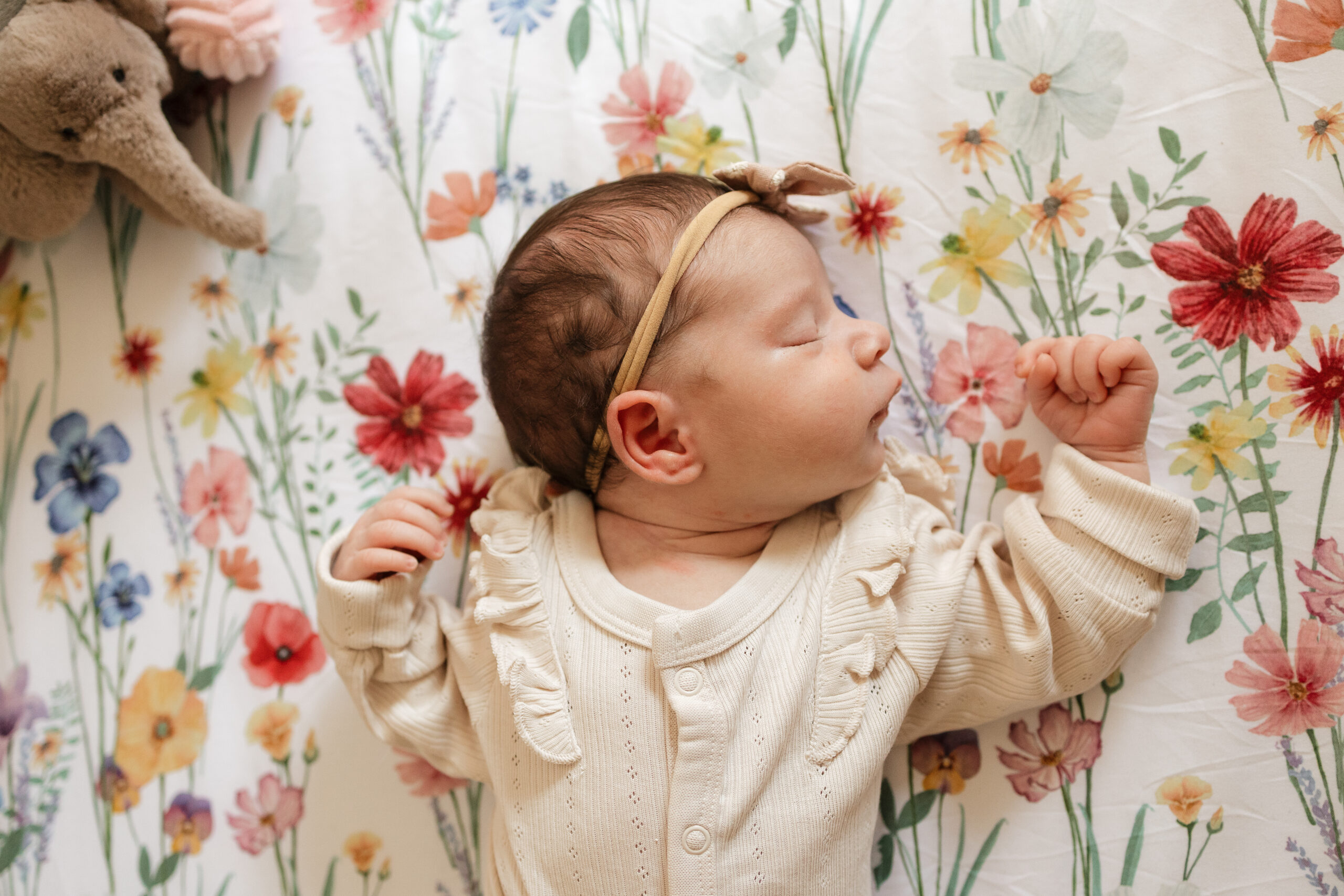 Longmont newborn laying in crib with arms up by face with a flower crib sheet behind and a little elephant stuffed animal in the corner during in home newborn session with alexis adkins photography